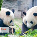 10 Days Classic Sichuan & Yunnan Highlights Tour