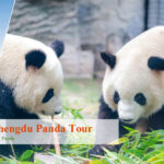 12 Days Unforgettable Kungfu Xi’an Chengdu Panda Tour
