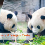 17 Days China Paradise Tour with Tibet & Chengdu and Yangtze Cruise