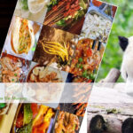 3 Days Chengdu Highlights Tour Chengdu Tour Packages