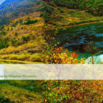 3 Days Classic Jiuzhaigou Tour by Flight from Chengdu