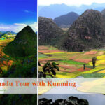 Puzhehei Lotus Flowers & Bamei Xanadu Tour with Kunming