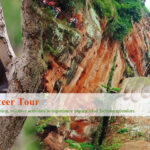 6-Day Sichuan Tour Leshan, Mount Emei & Panda Volunteer