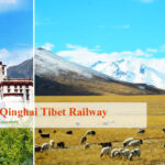 6 Days Xining and Lhasa Train Tour