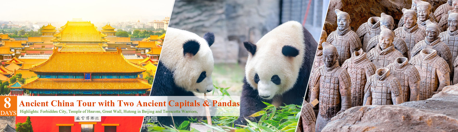 8 Days Ancient China Tour with Panda