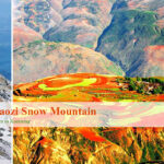 5 Days Kunming Spring Nature Tour with Jiaozi Snow Mountain