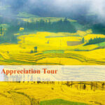 4 Days Kunming Luoping Canola Flower Tour